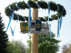 Maibaum in Weißensberg